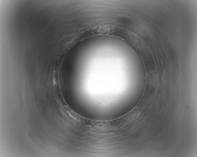 X0000069360962200605121112