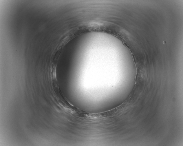 X0000069360964200605121112