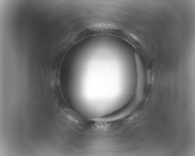 X0000069360965200605121112