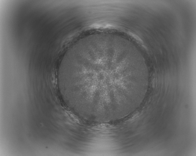 X0000069360966200605121112