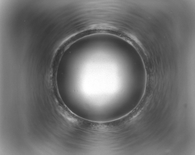 X0000069360971200605121112