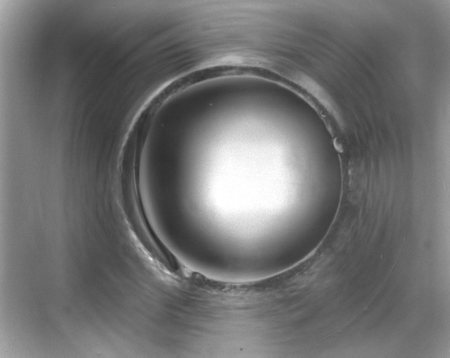 X0000069360972200605121112