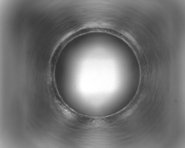 X0000069360974200605121112