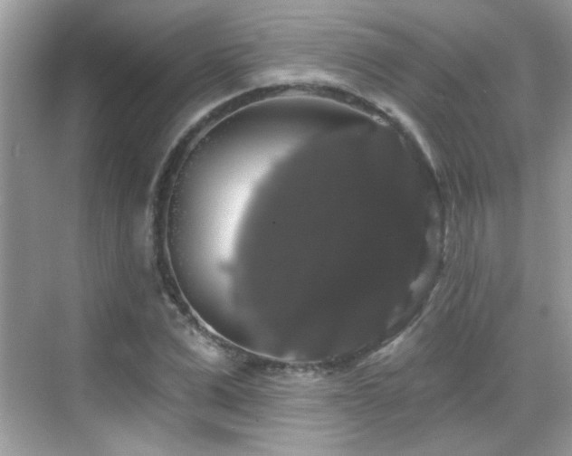 X0000069360975200605121112