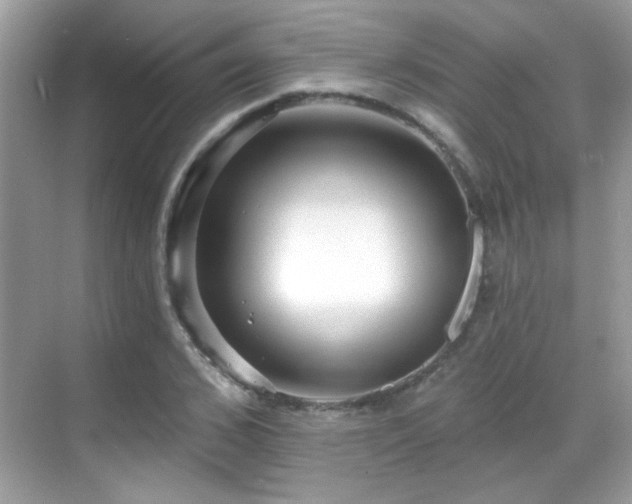 X0000069360976200605121112