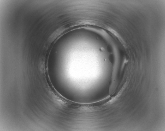 X0000069360977200605121112