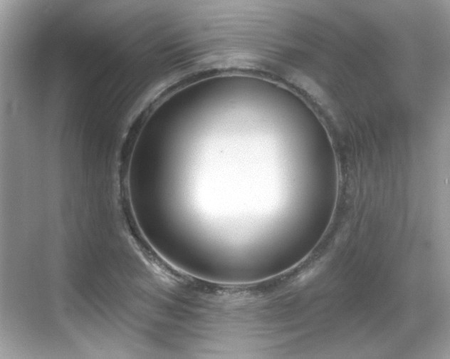 X0000069360978200605121112