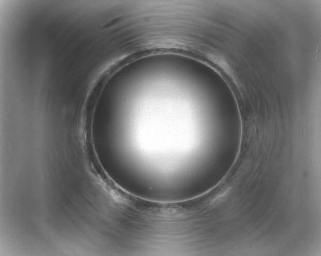 X0000069360979200605121112