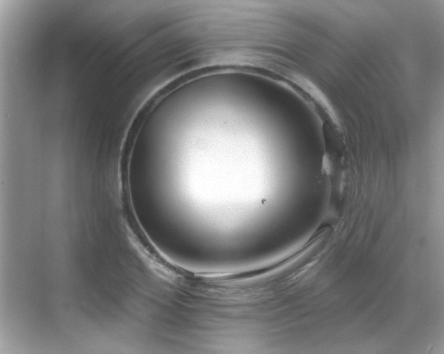 X0000069360980200605121112