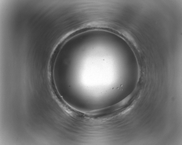 X0000069360981200605121112