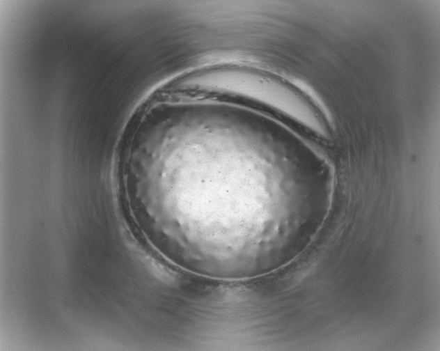 X0000069360983200605121112