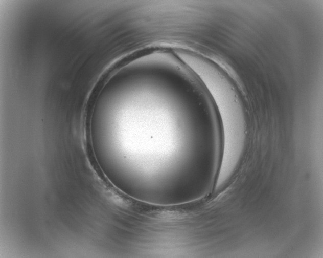 X0000069360984200605121112