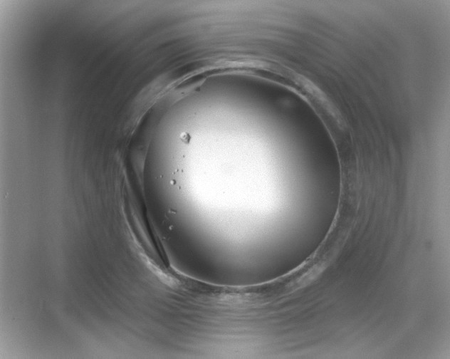 X0000069360985200605121112