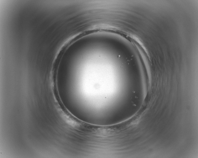 X0000069360987200605121112