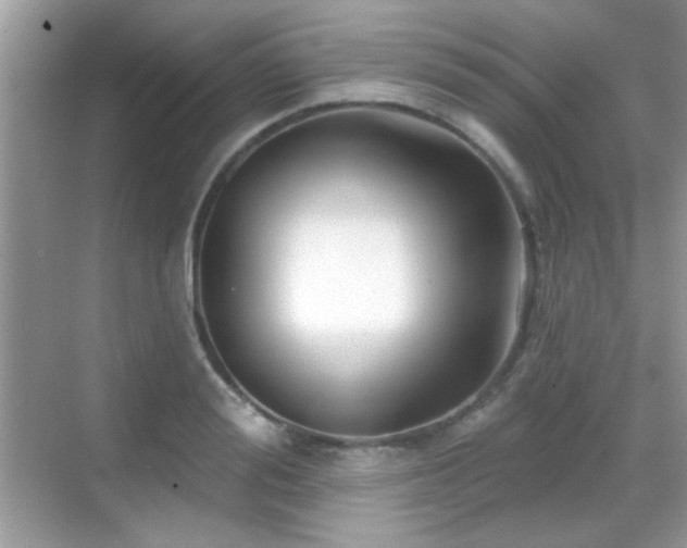 X0000069360988200605121112