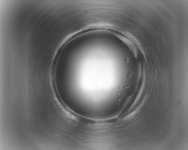 X0000069360989200605121112