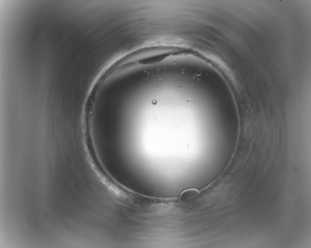 X0000069360990200605121112