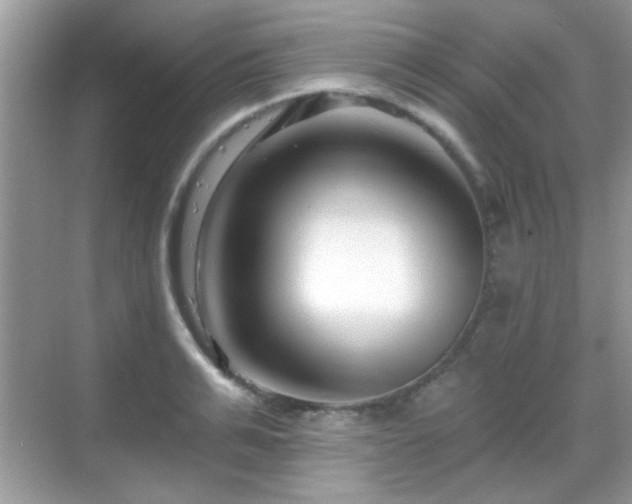 X0000069360991200605121112