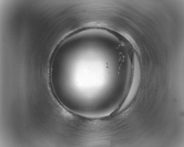 X0000069360992200605121112