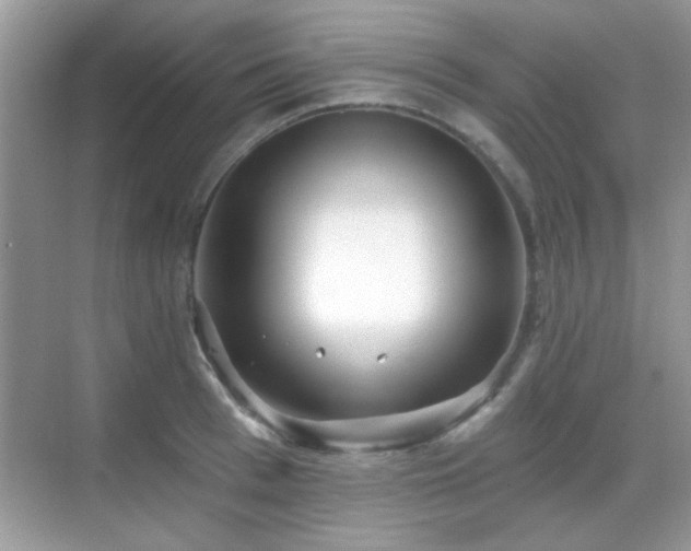 X0000069360993200605121112