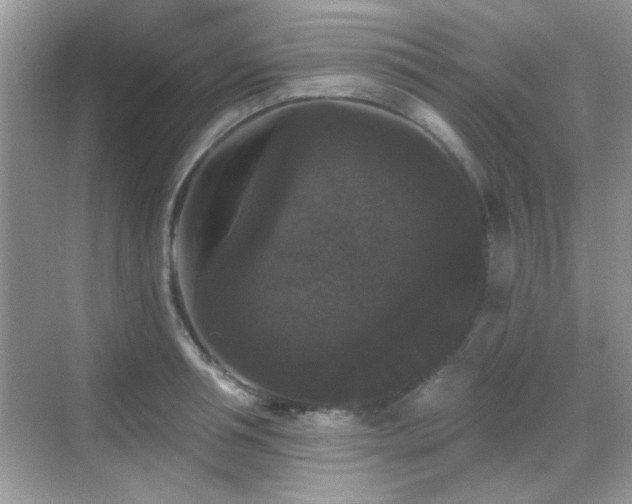 X0000069360994200605121112