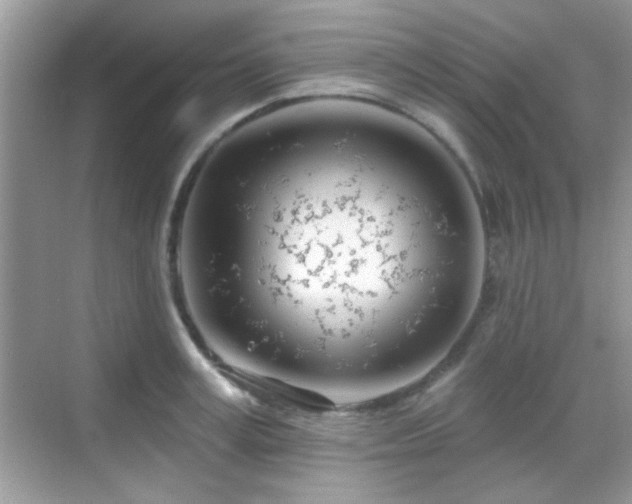 X0000069360995200605121112