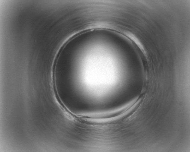 X0000069360996200605121112