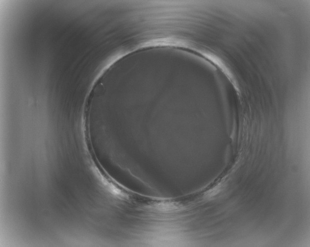 X0000069360998200605121112