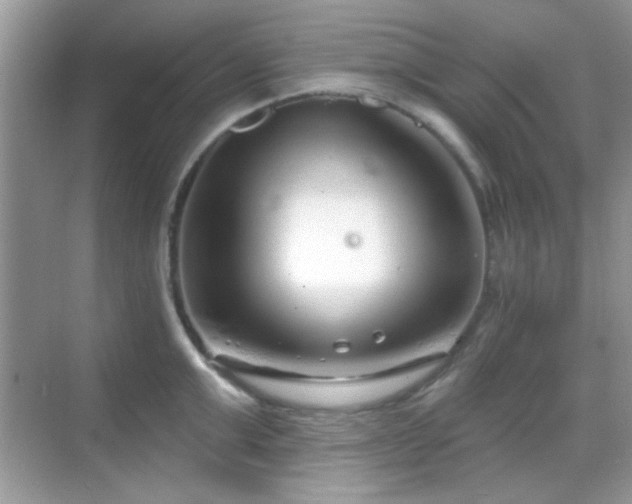 X0000069360999200605121112