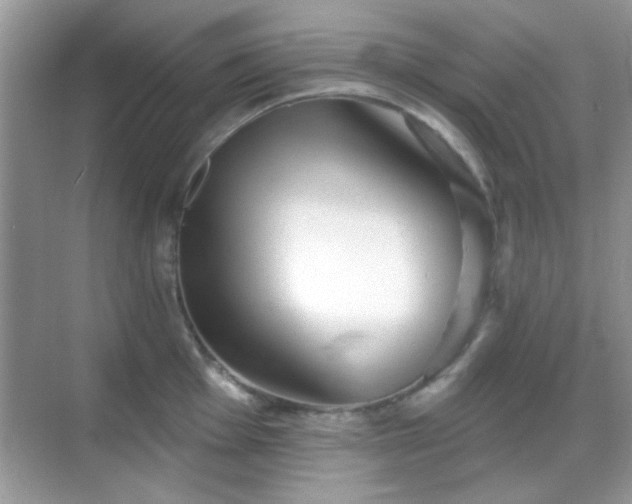 X0000069361001200605121112