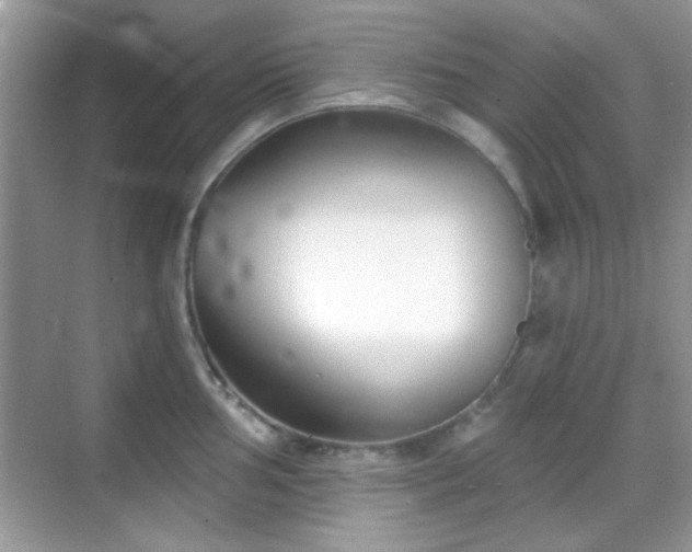 X0000069361002200605121112