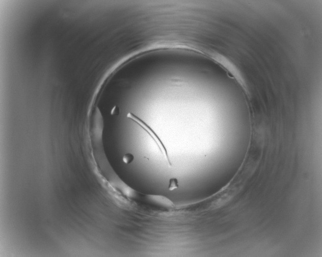 X0000069361004200605121112