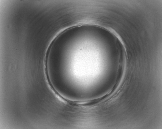 X0000069361005200605121112