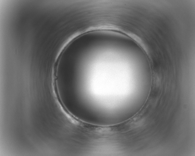 X0000069361006200605121112