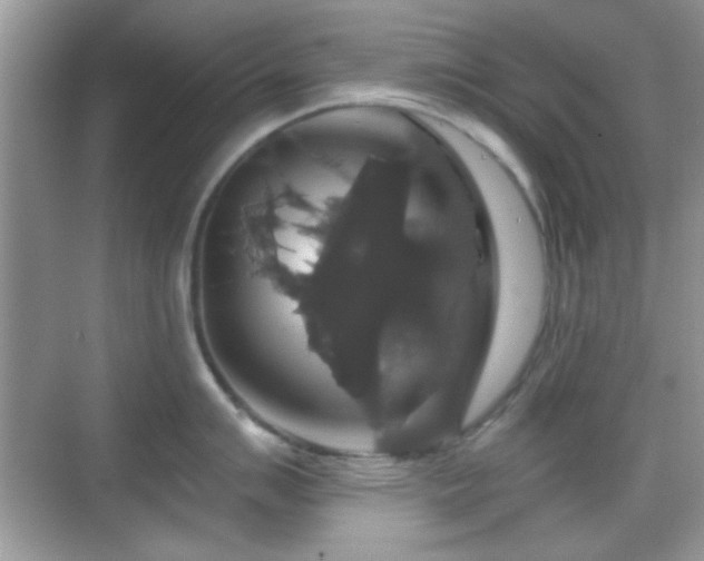 X0000069361007200605121112