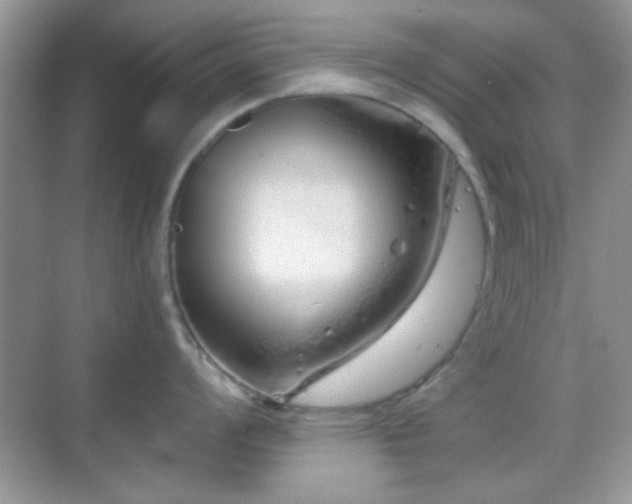 X0000069361008200605121112