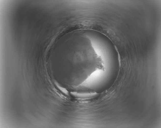 X0000069361009200605121111