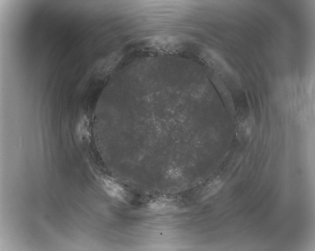 X0000069361010200605121111