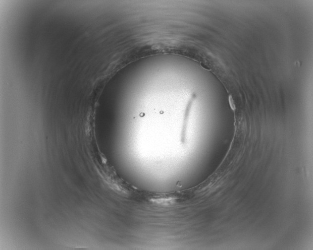 X0000069361012200605121111