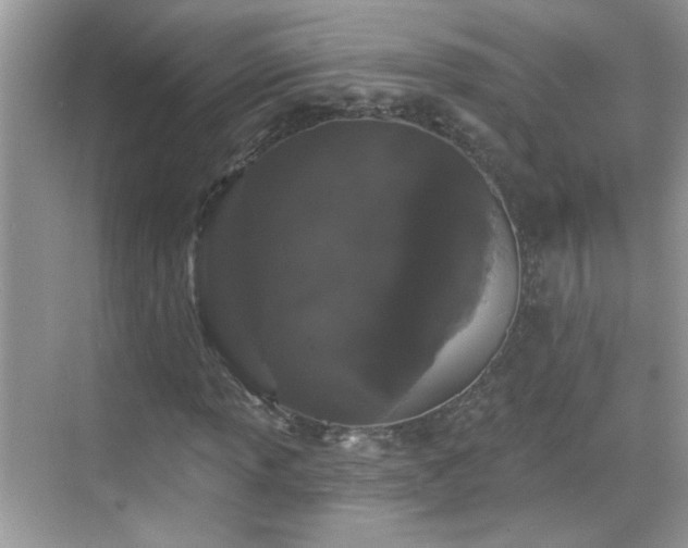 X0000069361013200605121111