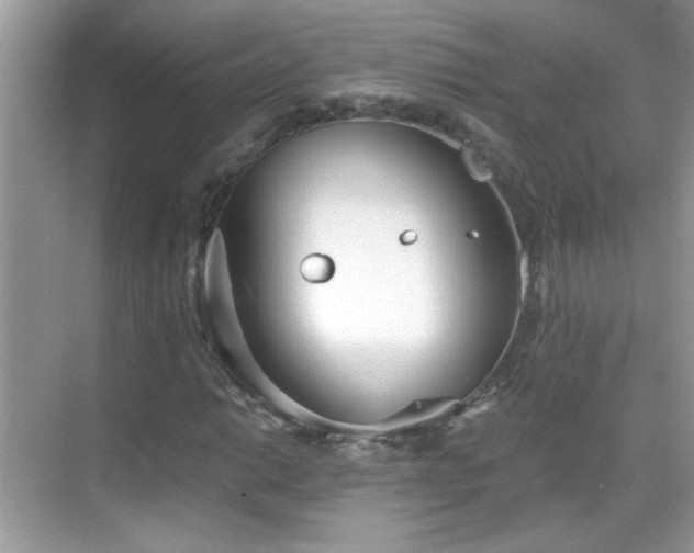 X0000069361014200605121111