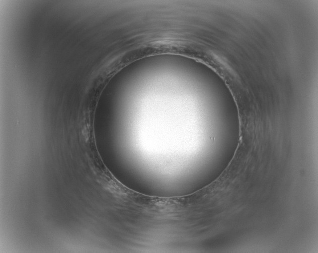 X0000069361015200605121111