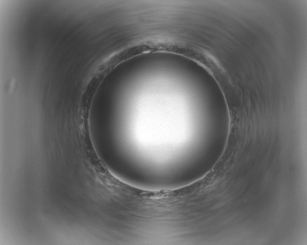 X0000069361016200605121111