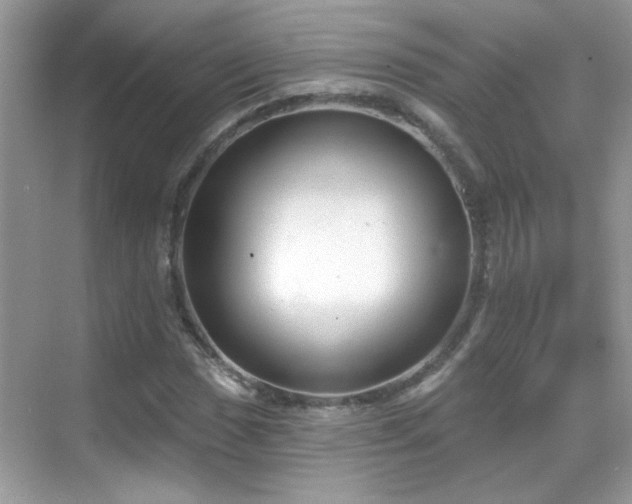 X0000069361017200605121111