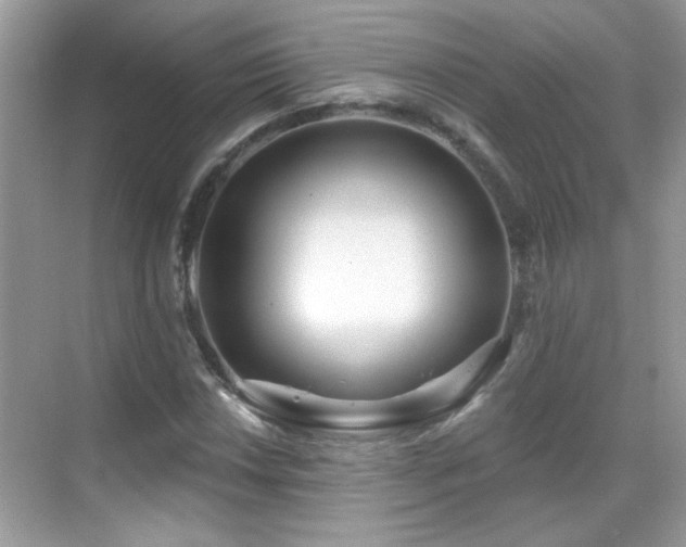 X0000069361018200605121111