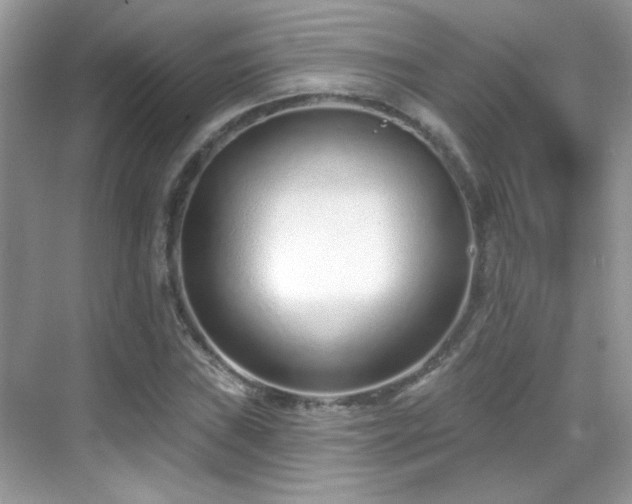 X0000069361019200605121111