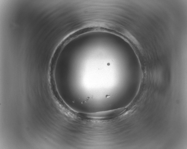 X0000069361020200605121111