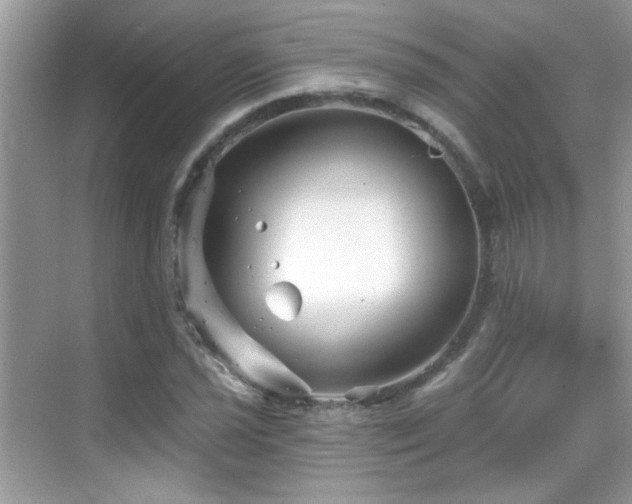 X0000069361021200605121111