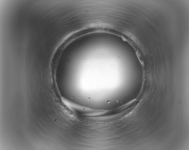 X0000069361022200605121111