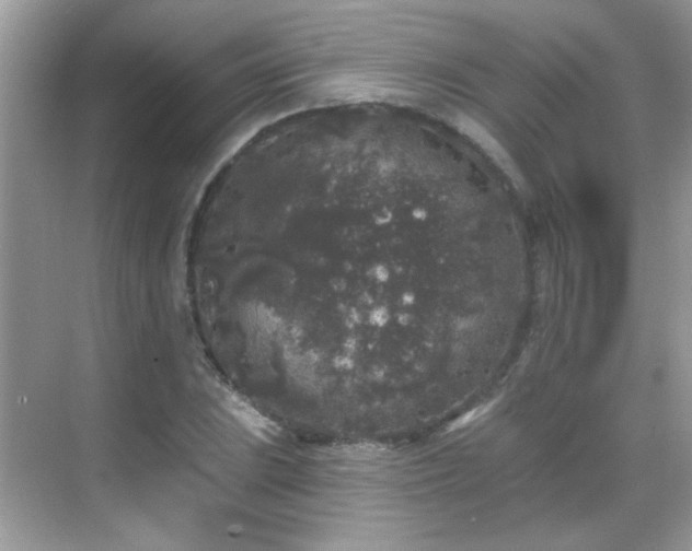 X0000069361023200605121111